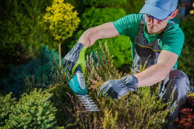 landscaping services Pleasant Run